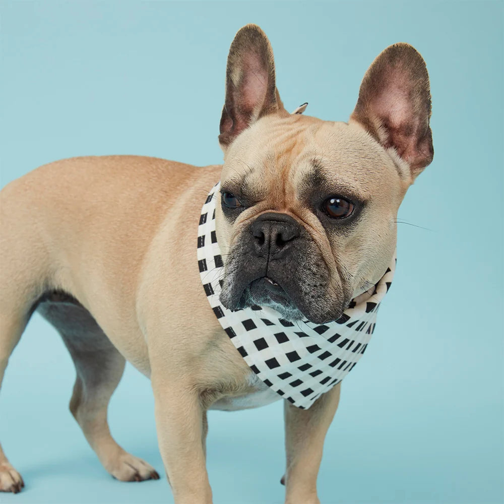 Pooch & Hound Bandana