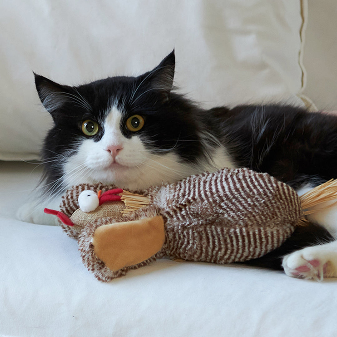 Kazoo Cheeky Chicken with Catnip