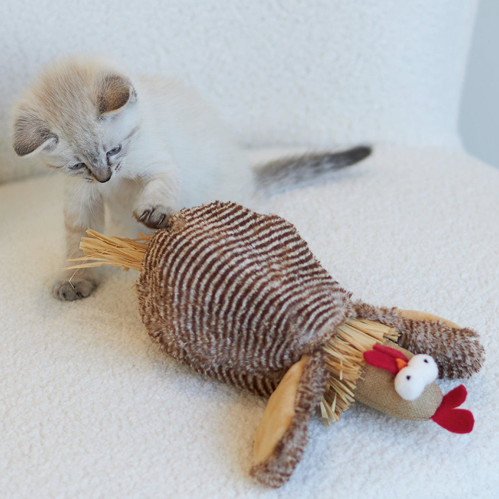 Kazoo Cheeky Chicken with Catnip