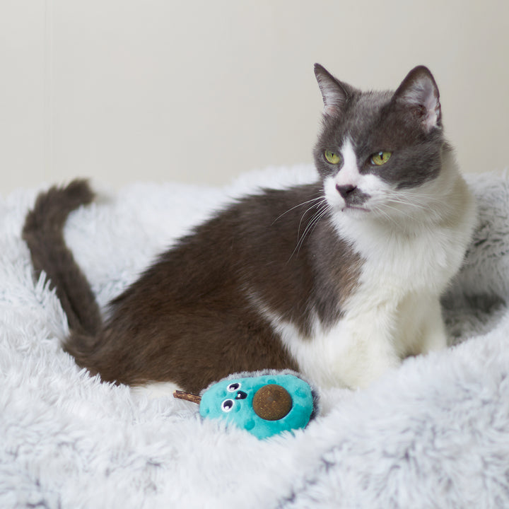 Kazoo Playful Avocado Cat Toy with Catnip