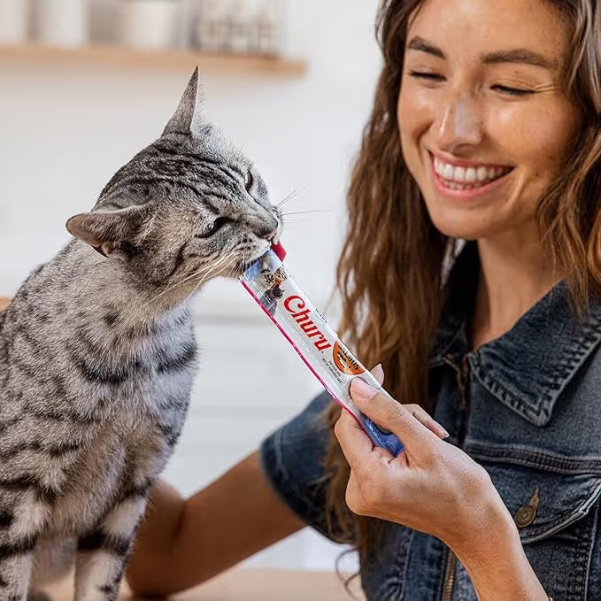 Churu Salmon With Tuna Recipe Cat Treats