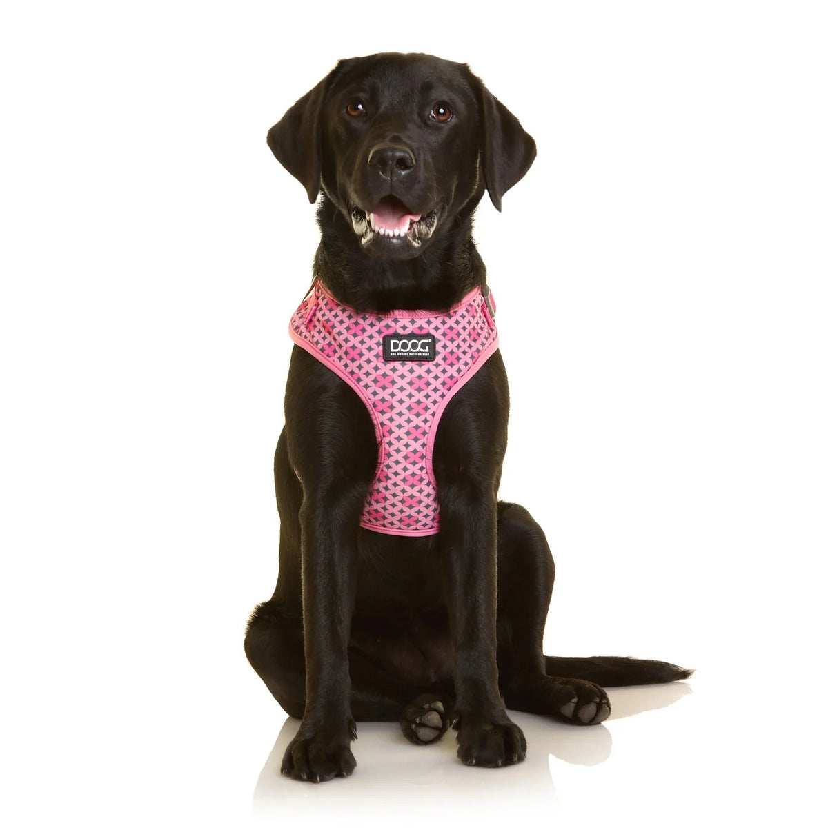 DOOG NeoFlex Harness Toto Pink Geometric Pattern XL