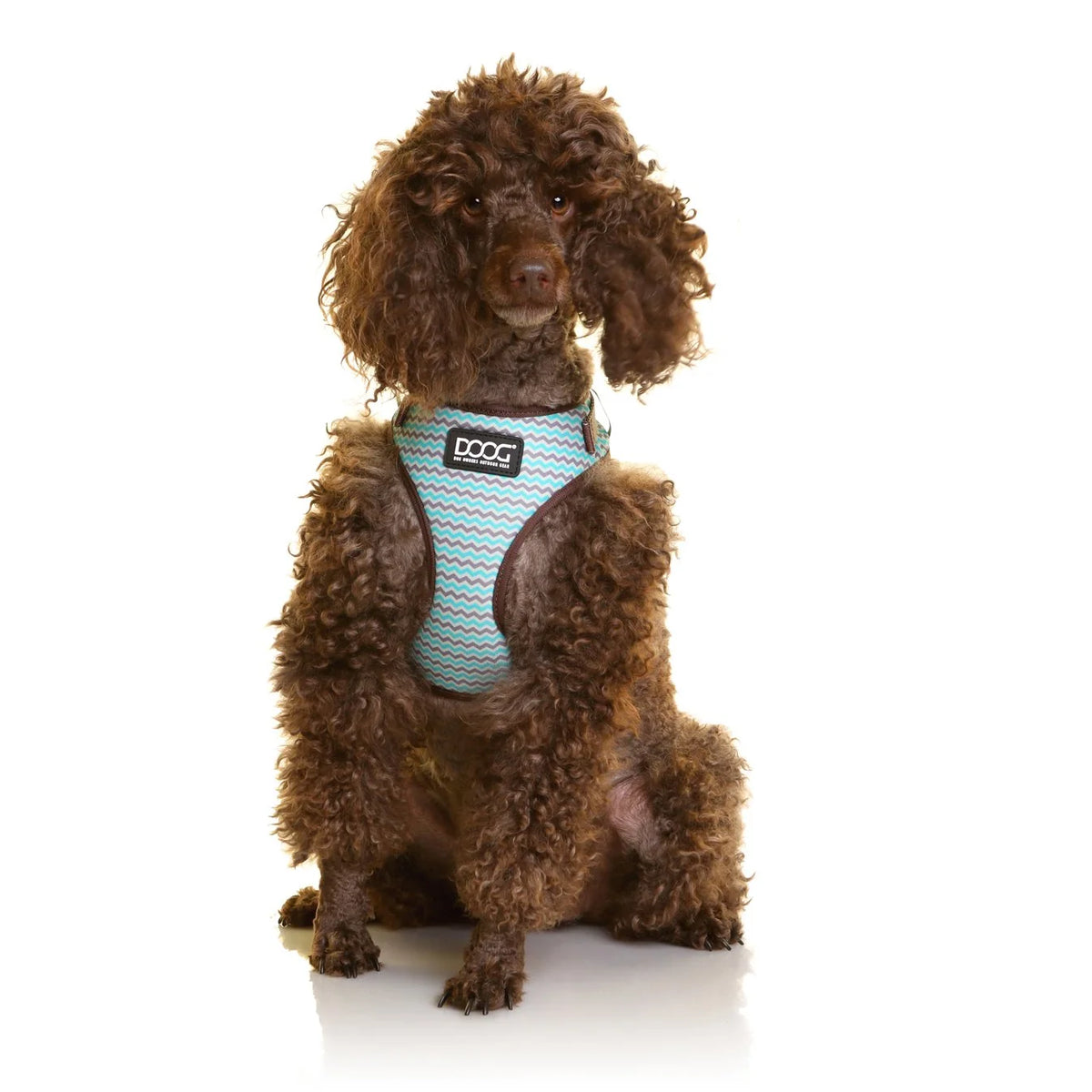 DOOG NeoFlex Harness Benji Pattern Large