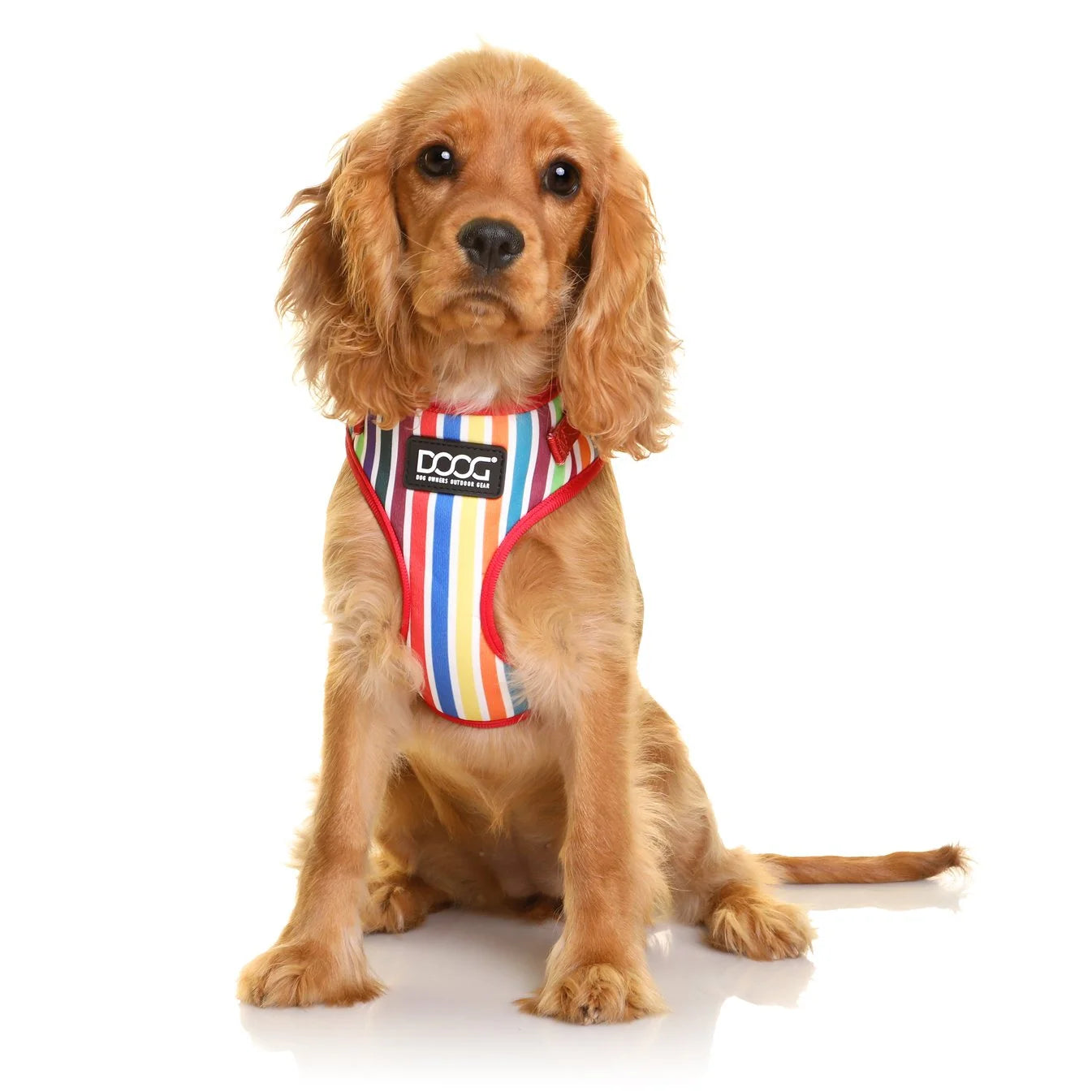 DOOG NeoFlex Harness Scooby Coloured Stripes Large