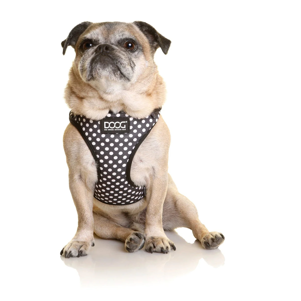 DOOG NeoFlex Harness Pongo Black with White Spots