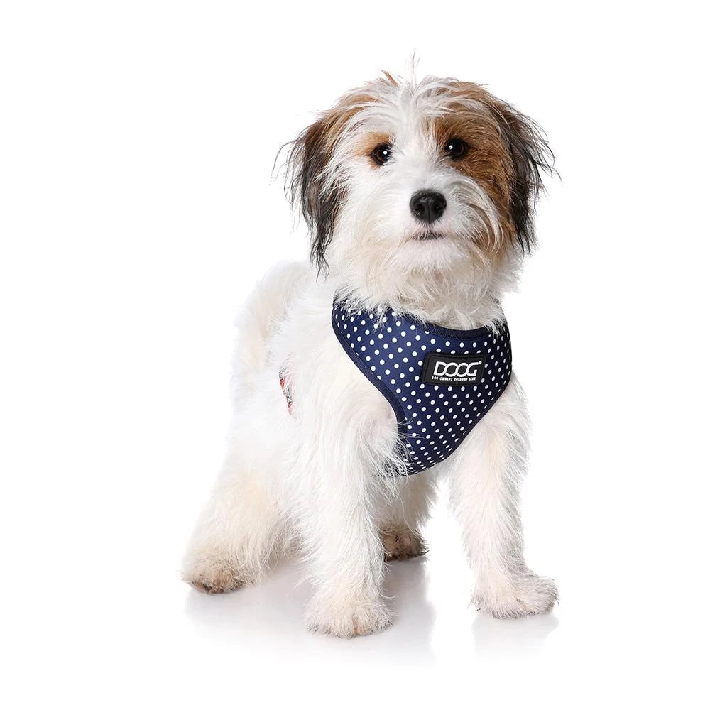 DOOG NeoFlex Harness Stella Navy Blue with White Spots XL