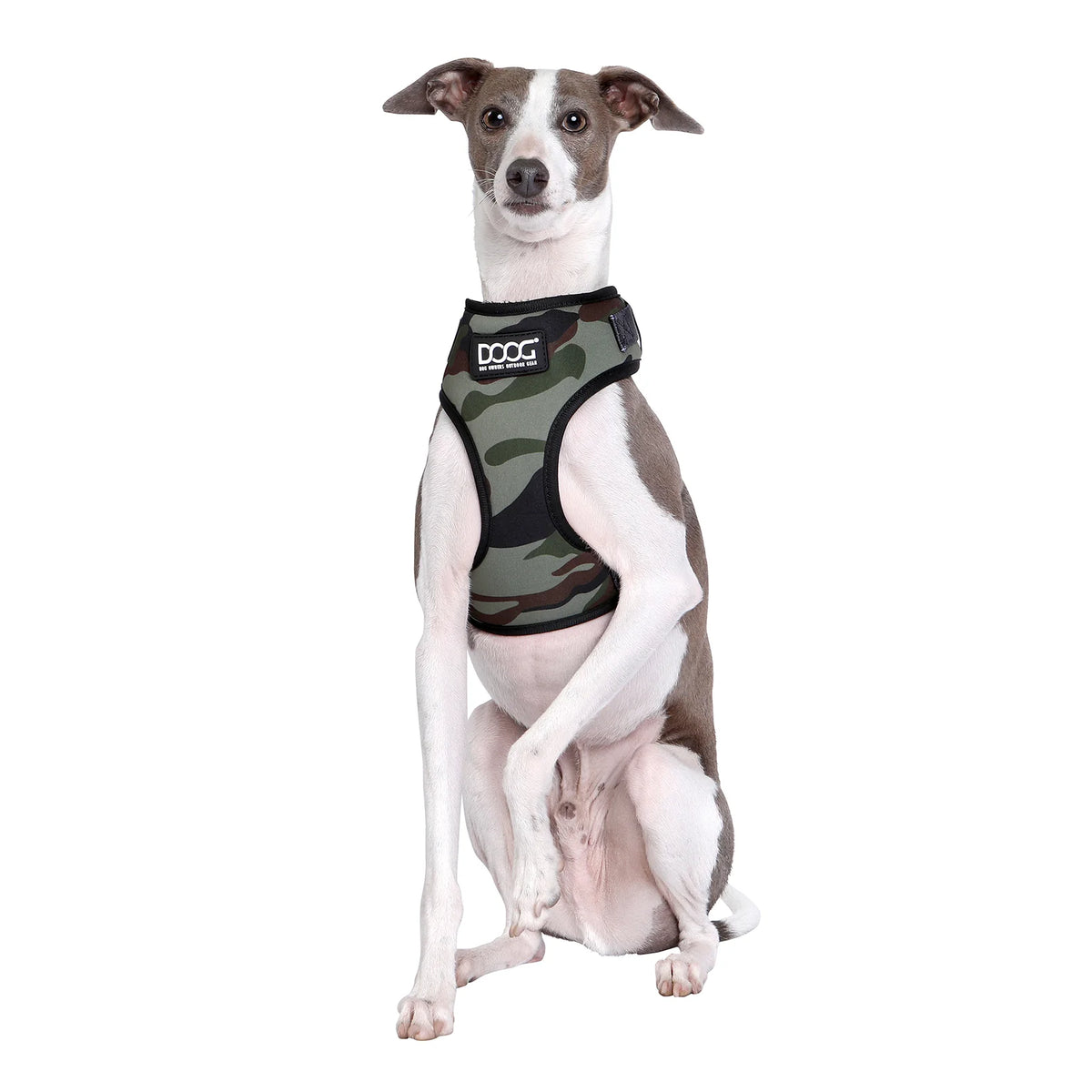 DOOG NeoFlex Harness Bruiser Camouflage