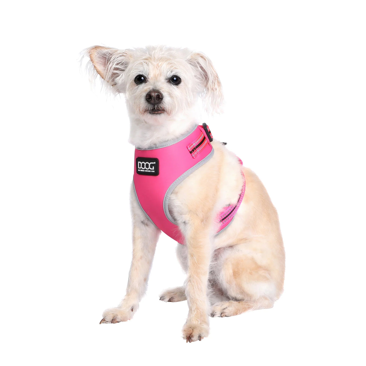 DOOG NeoFlex NEON Harness Large