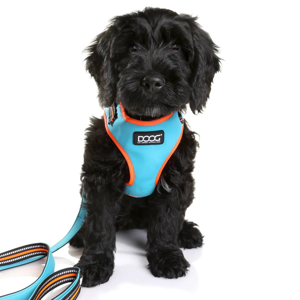 DOOG NeoFlex NEON Harness Large