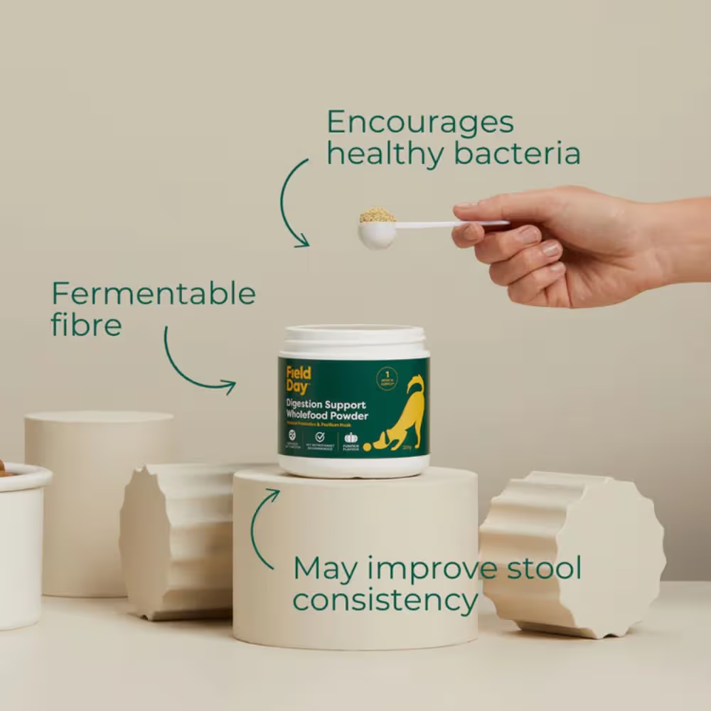 Field Day Digestion Support Powder For Dogs