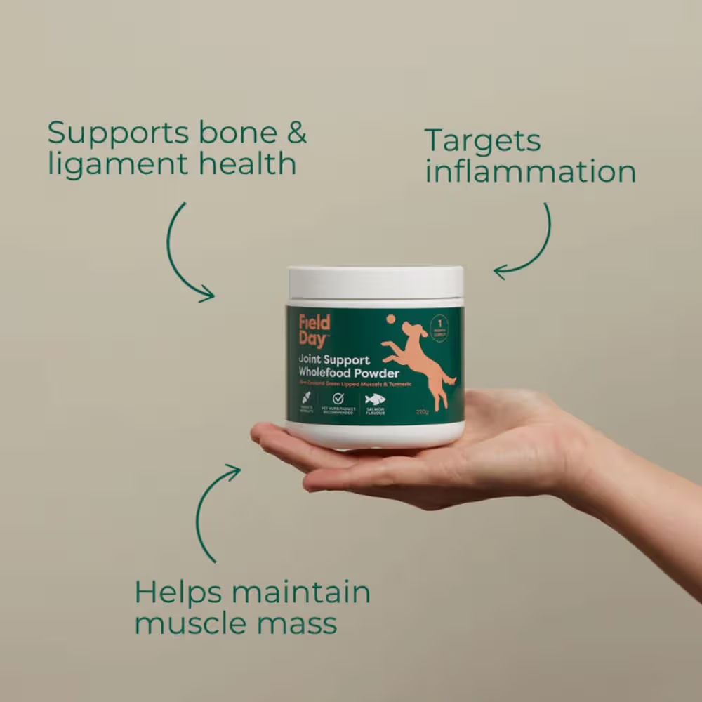 Field Day Joint Support Powder 220g