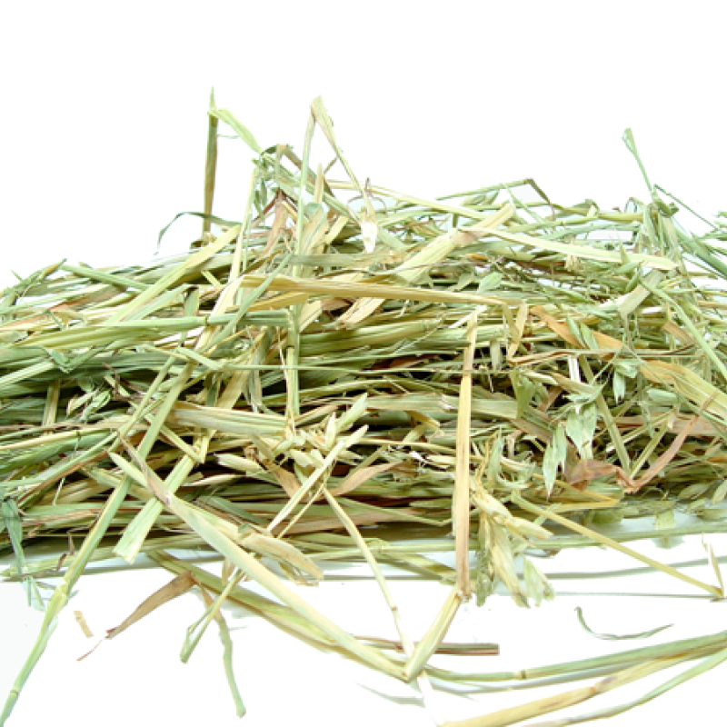 Oaten Hay Bag $8.50