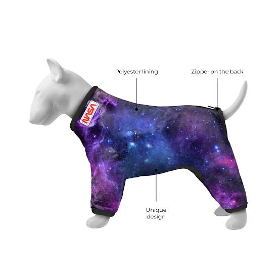 Wau Dog NASA Dog Raincoat