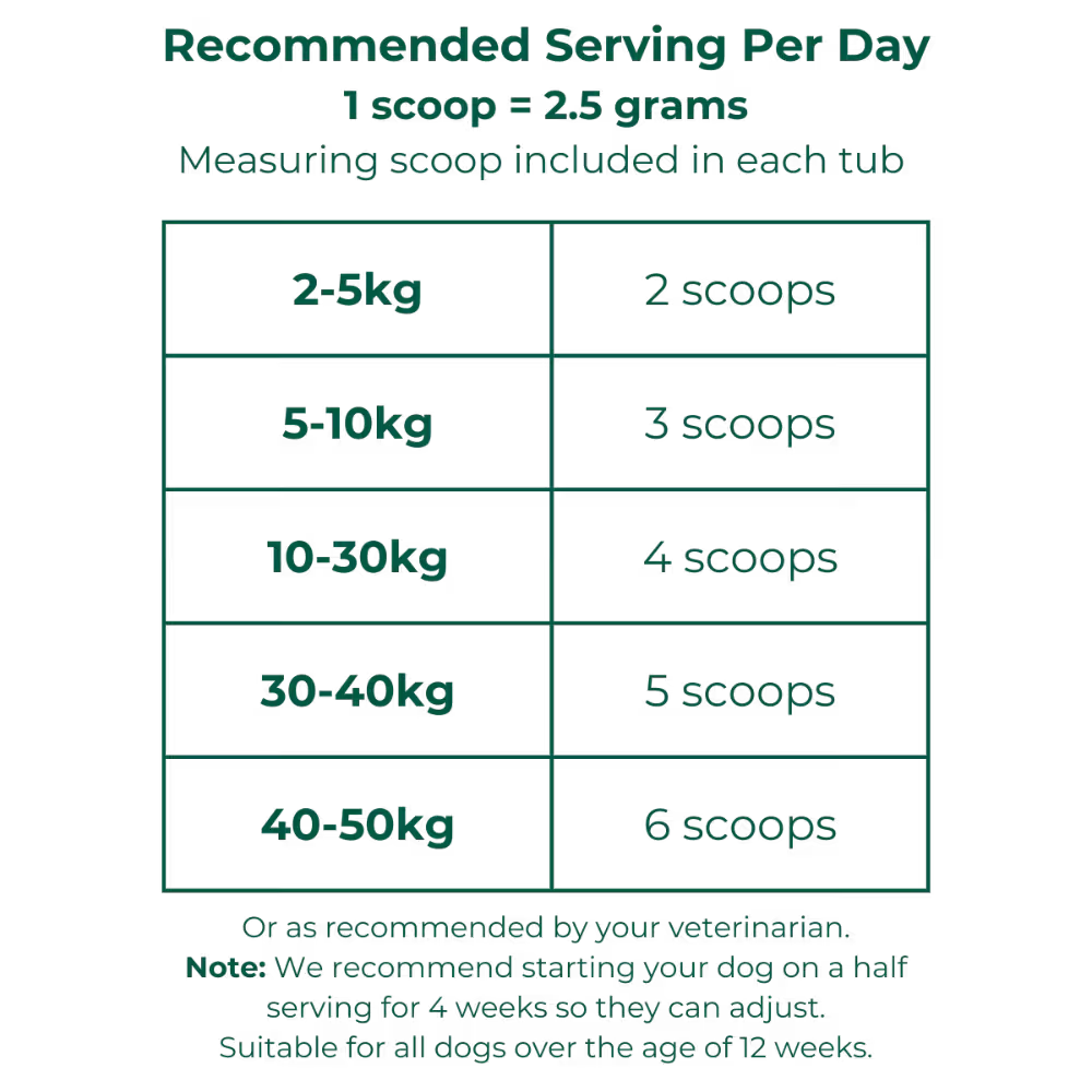 Field Day Joint Support Powder 220g