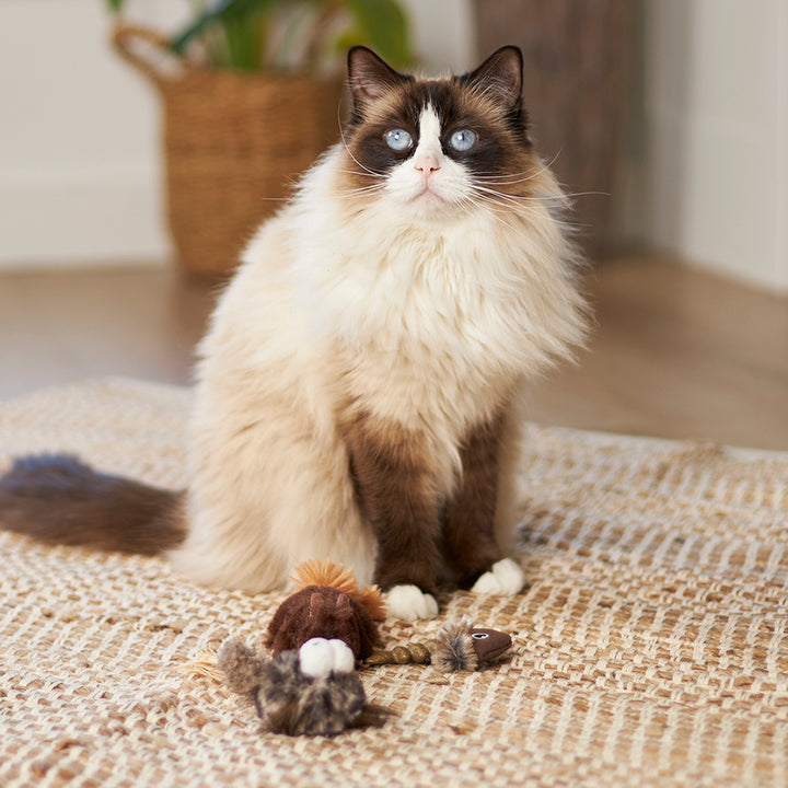 Kazoo Eco-Friendly Gone Fishing with Catnip