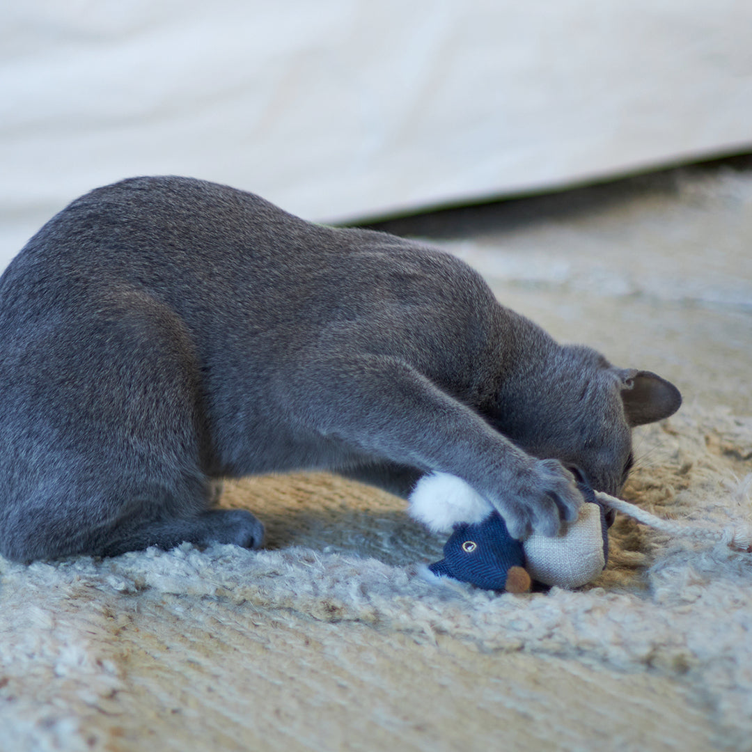 Kazoo Big Ears Mouse With Catnip Cat Toy