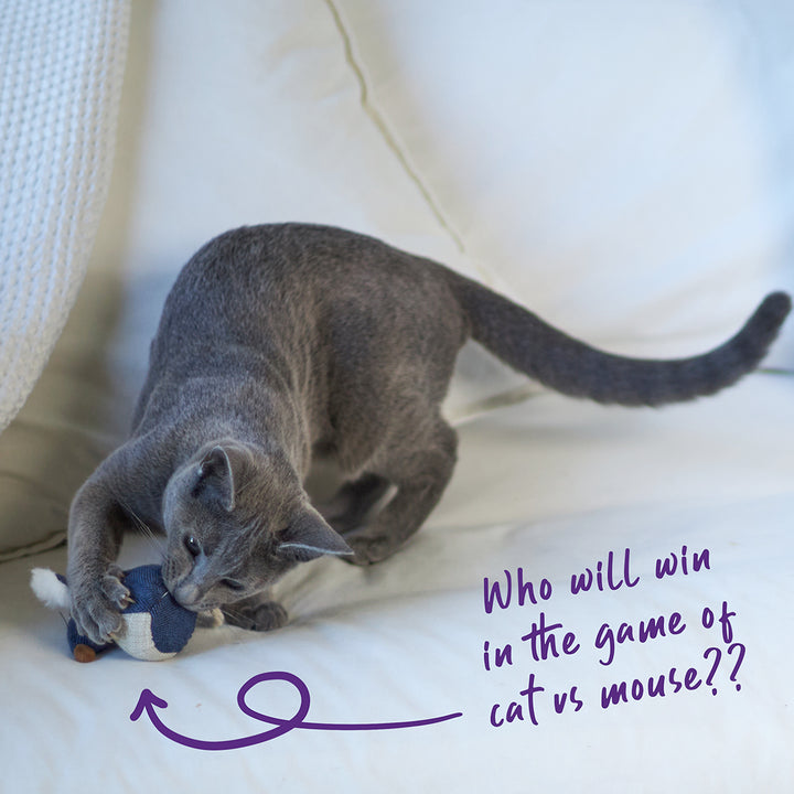 Kazoo Big Ears Mouse With Catnip Cat Toy