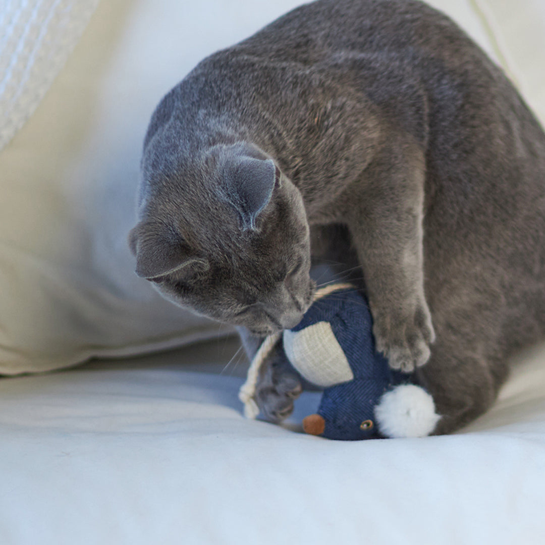 Kazoo Big Ears Mouse With Catnip Cat Toy