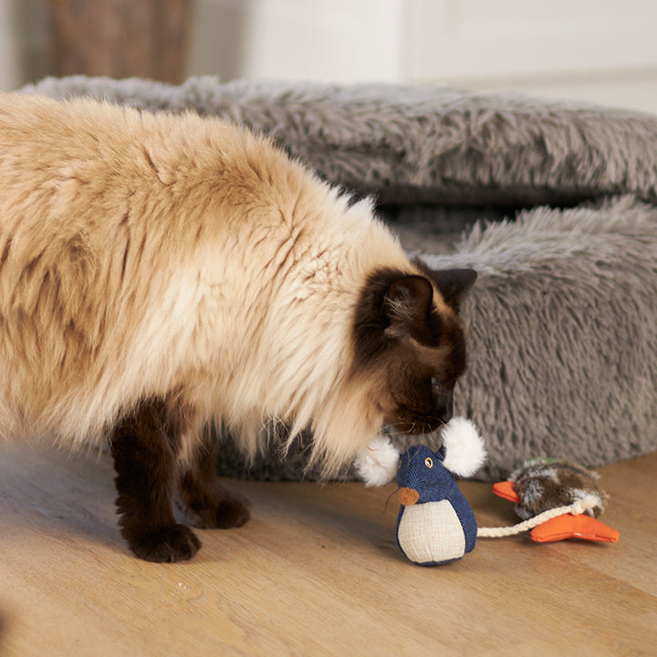 Kazoo Big Ears Mouse With Catnip Cat Toy