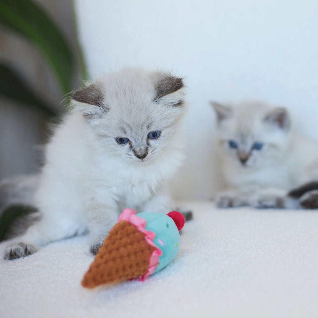 Kazoo Icecream Vibes Cat Toy w/ Catnip