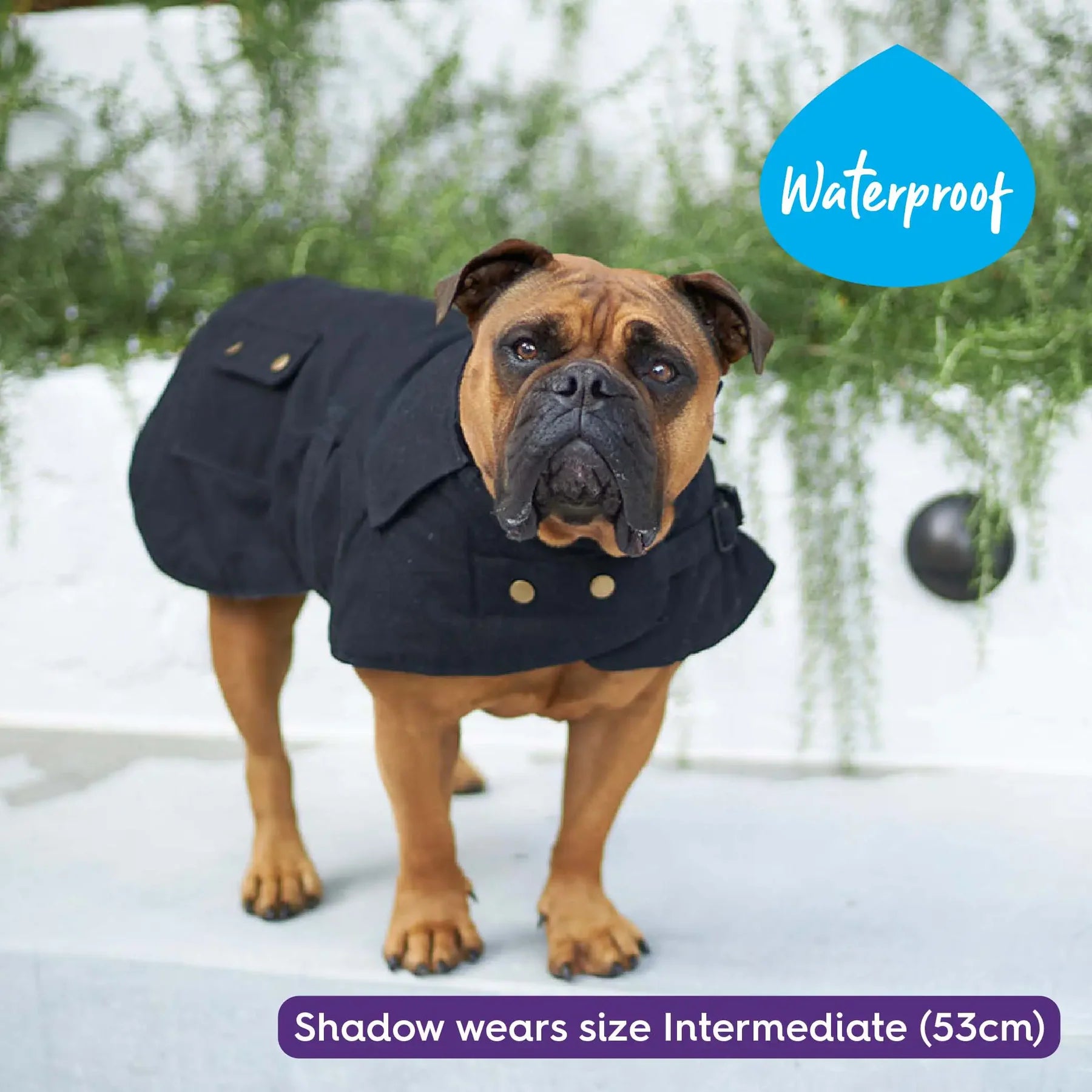 Kazoo Aussie Oilskin Dog Coat