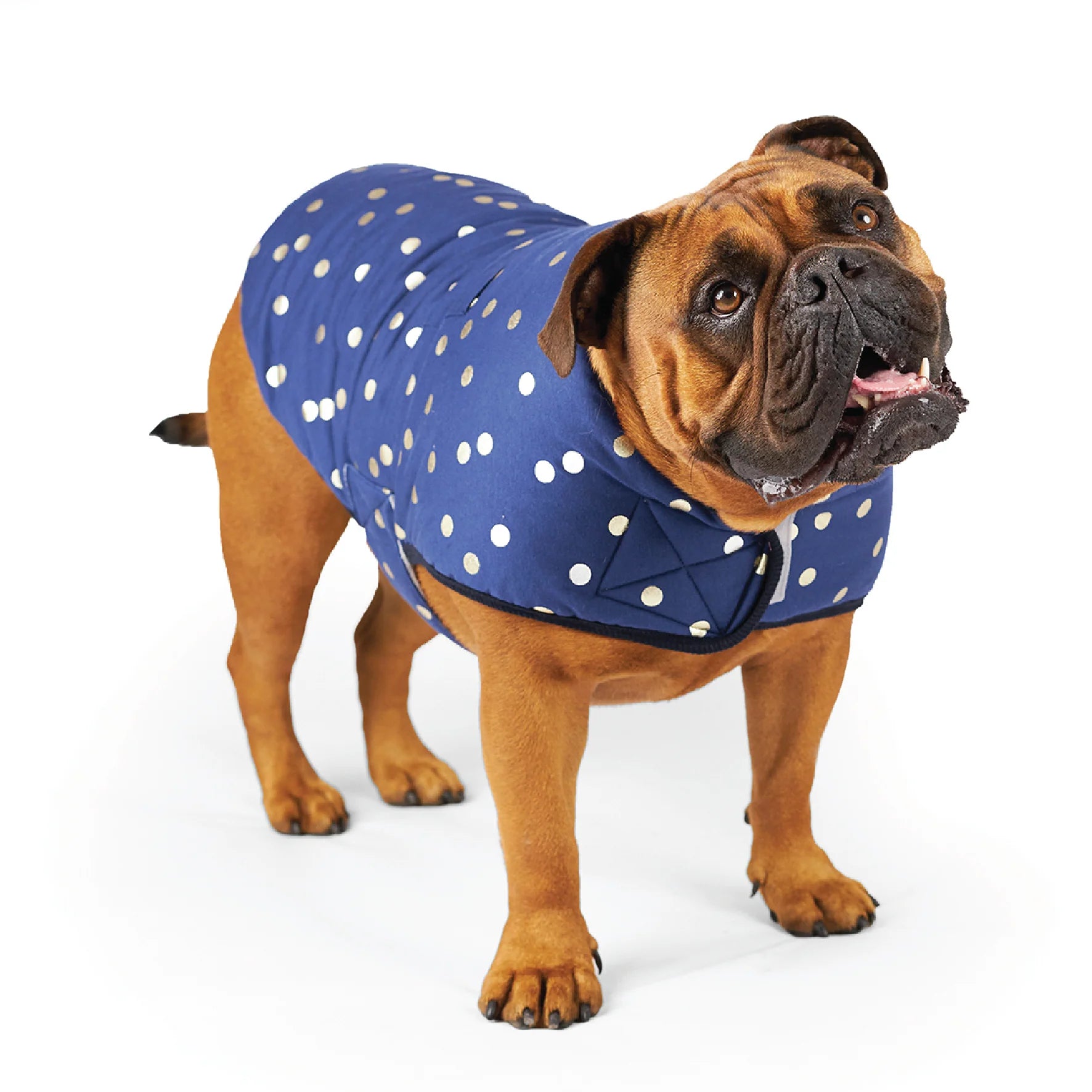 Kazoo Confetti Snuggie 27cm XXS