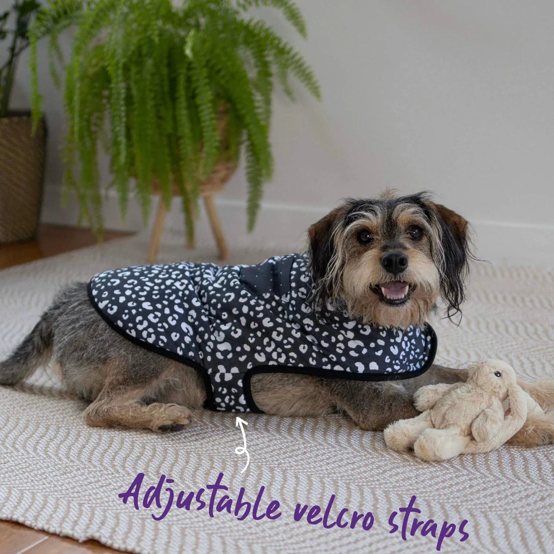 Kazoo Night Vision Reversible Snuggie Dog Coat 27cm XXS