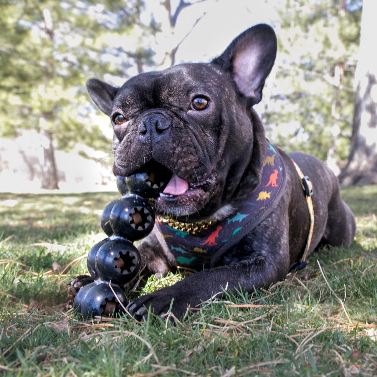 Kong Goodie Extreme Ribbon