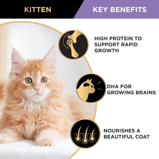 PRO PLAN Kitten Chicken Formula Dry Cat Food 400g