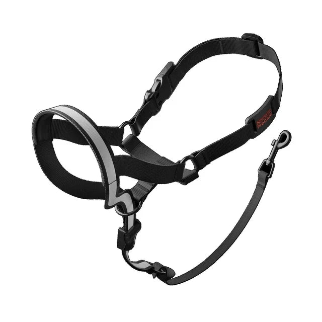 Purina ProCare Head Collar
