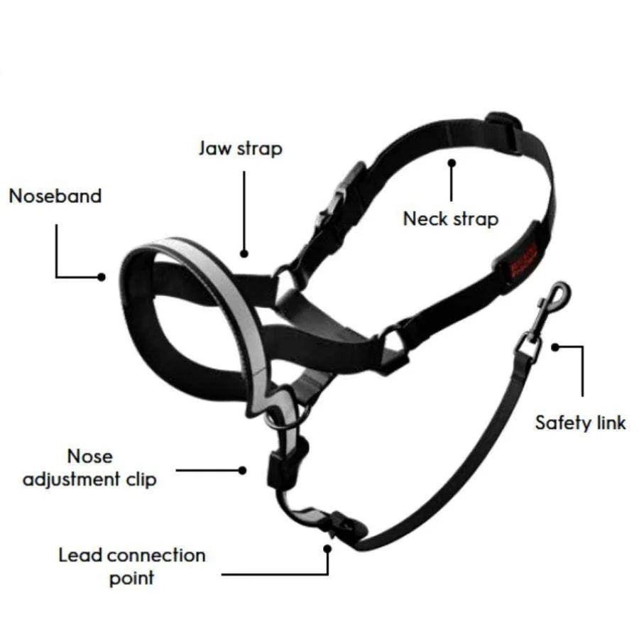 Purina ProCare Head Collar