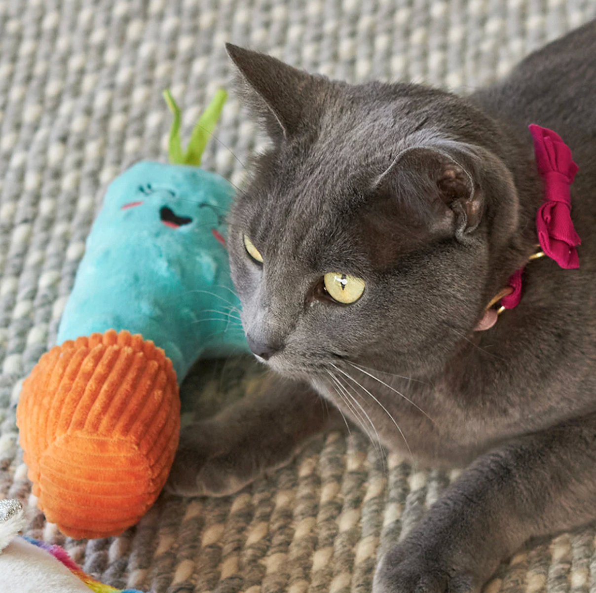Kazoo Cute Cactus Kicker Cat Toy