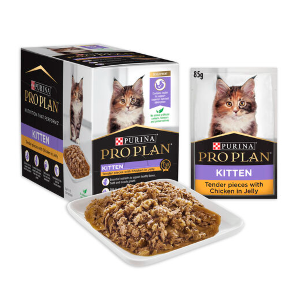 PRO PLAN Kitten Chicken in Jelly Wet Cat Food