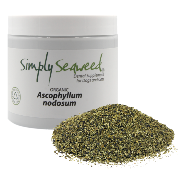 Simply Seaweed Dental Supplement