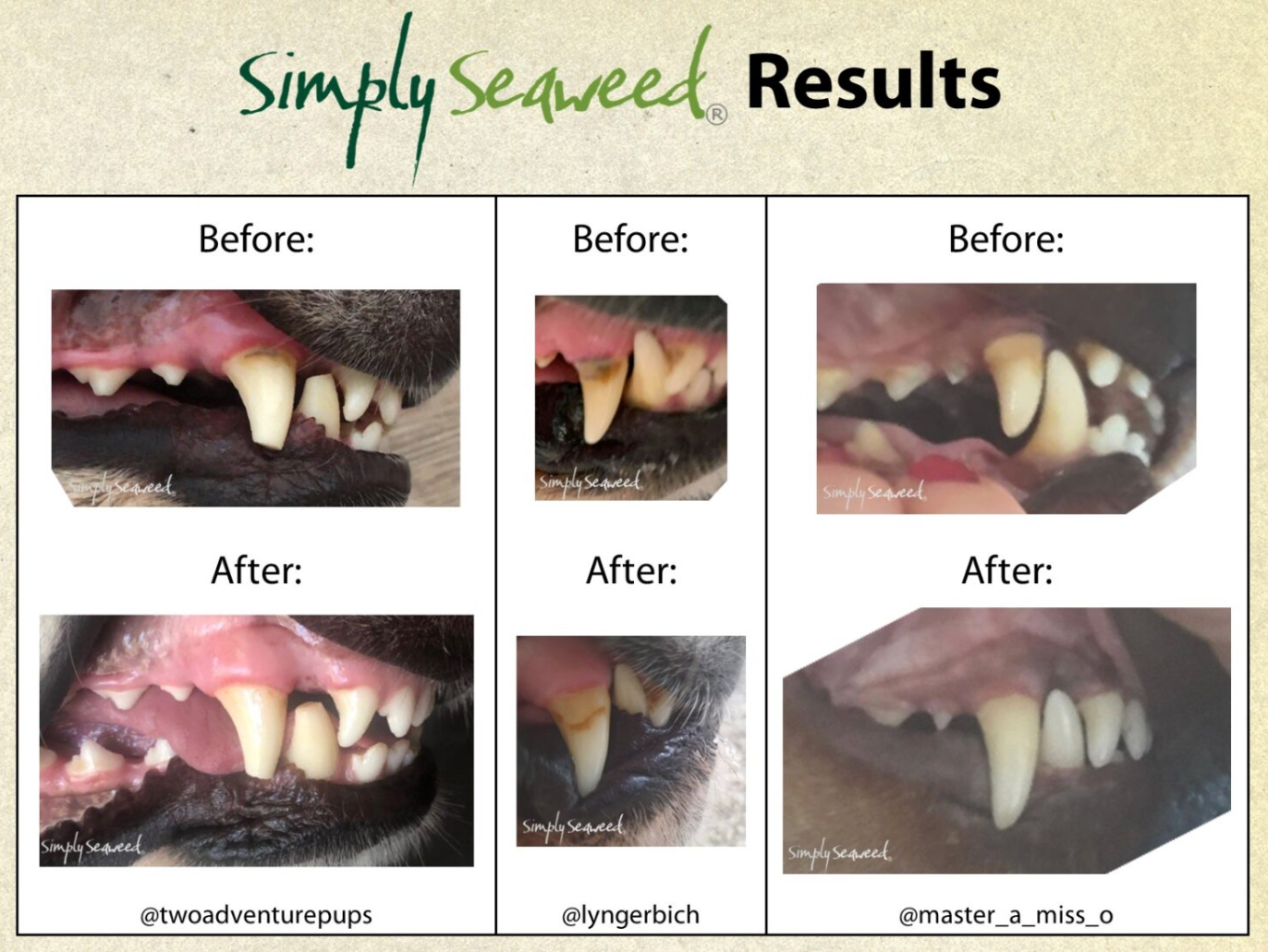 Simply Seaweed Dental Supplement