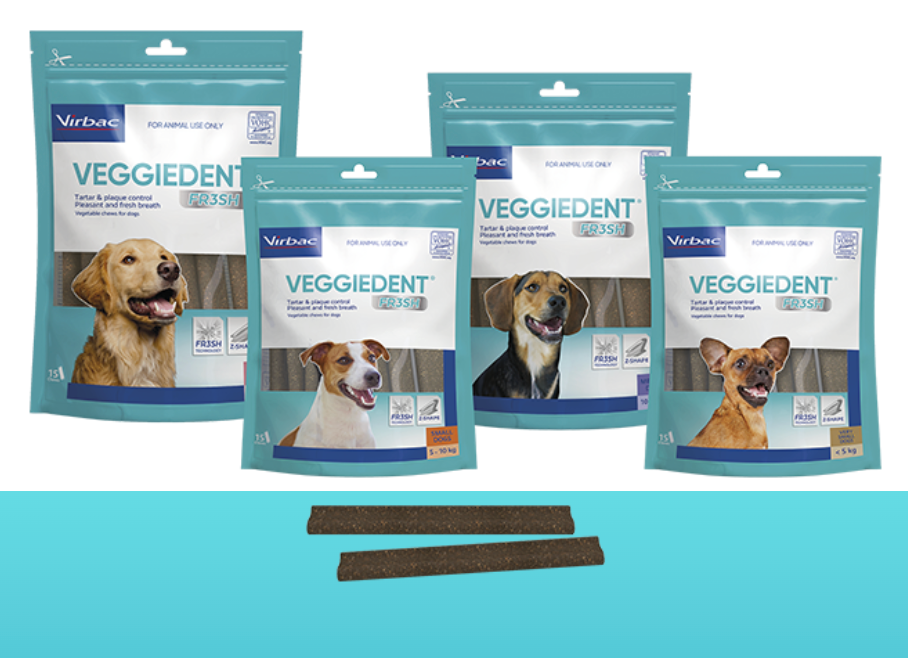 VEGGIEDENT® FR3SH Dental Chews
