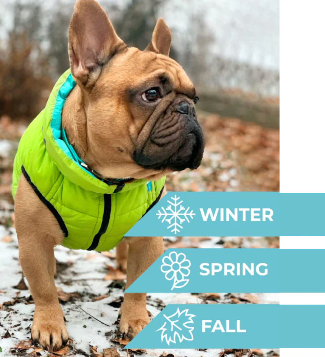 Airy Vest - Dog Light Weight Vests