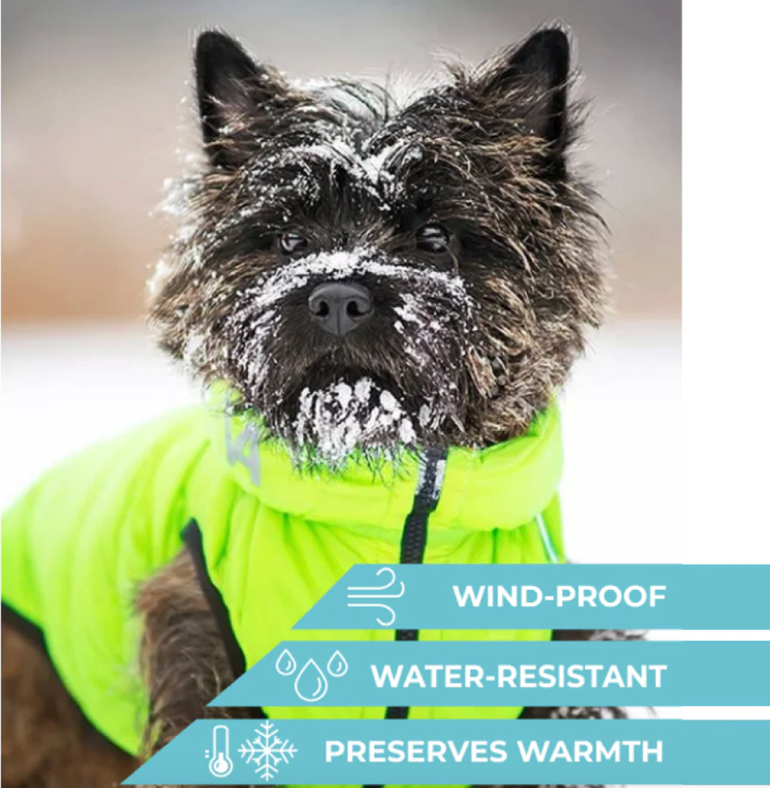 Airy Vest - Dog Light Weight Vests