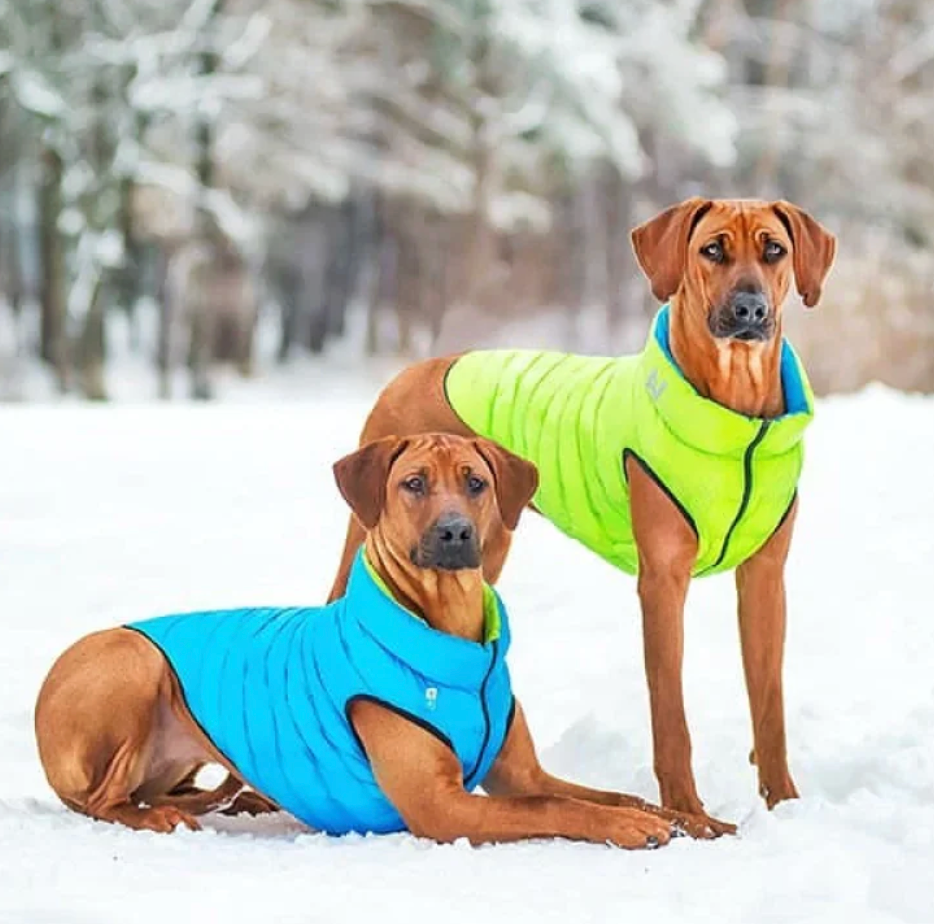 Airy Vest - Dog Light Weight Vests