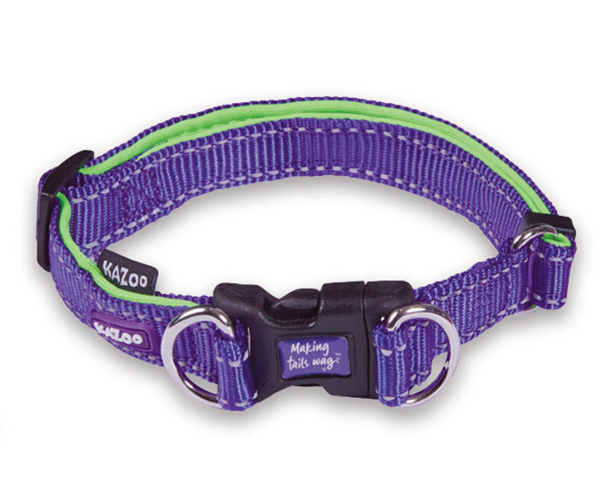 Kazoo Easy Clip Collar - Purple Lime