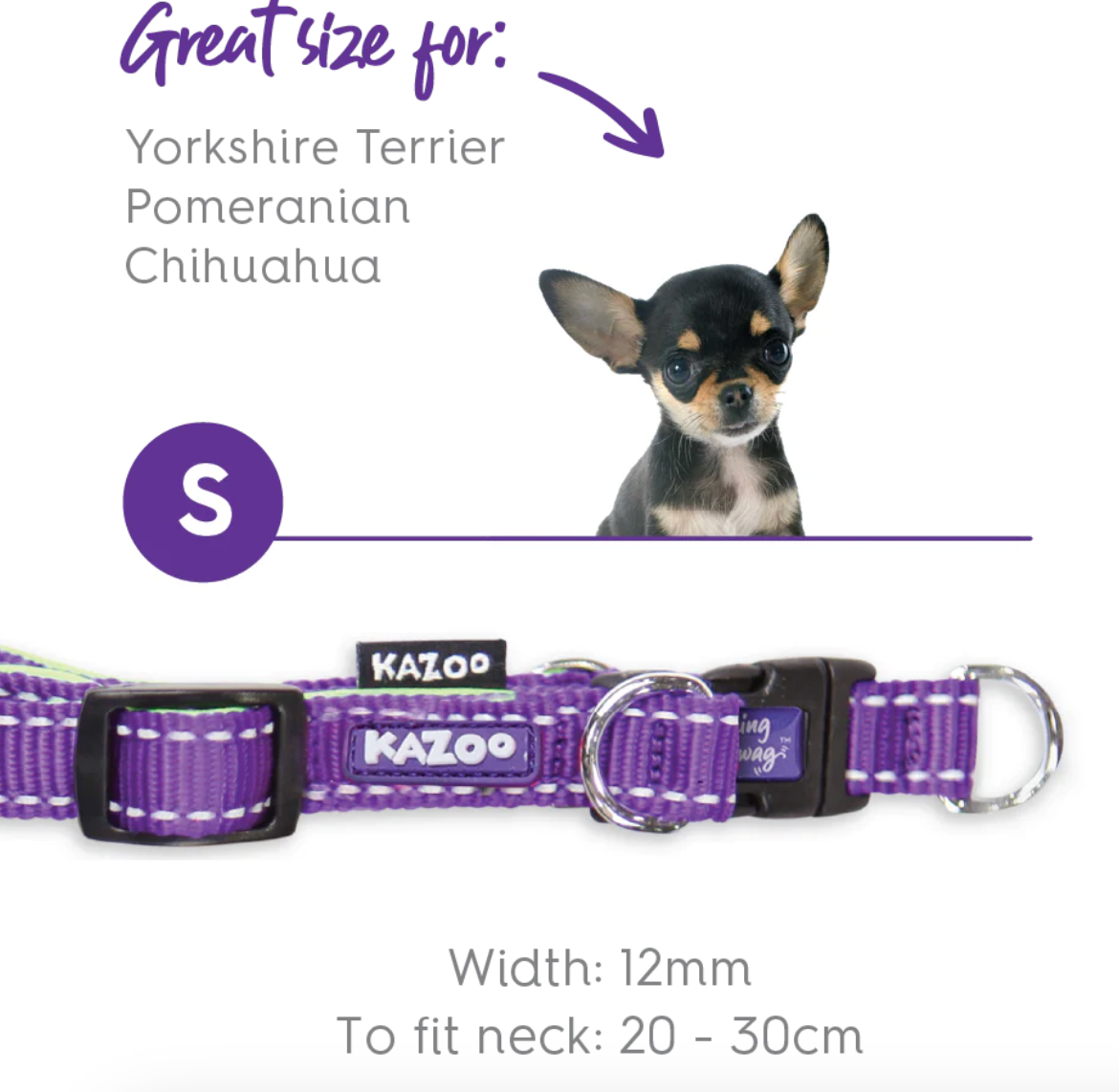 Kazoo Easy Clip Collar - Purple Lime