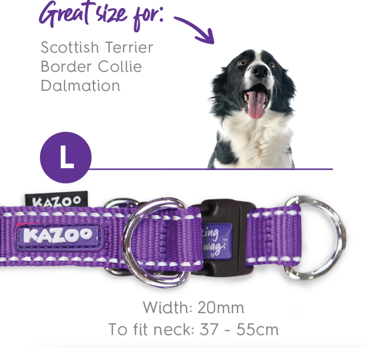 Kazoo Easy Clip Collar - Purple Lime