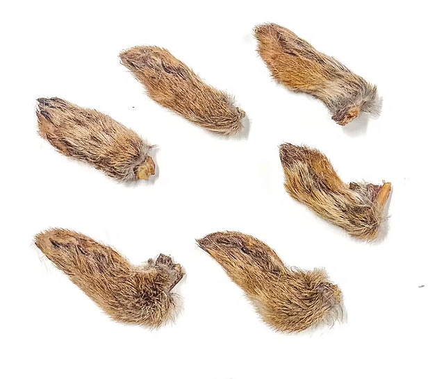Australian Wild Rabbit Feet