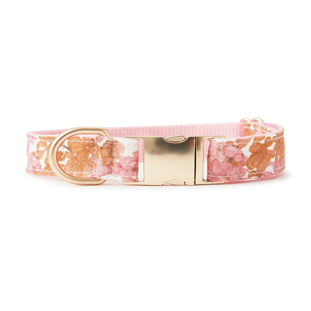 Pooch & Hound Collar