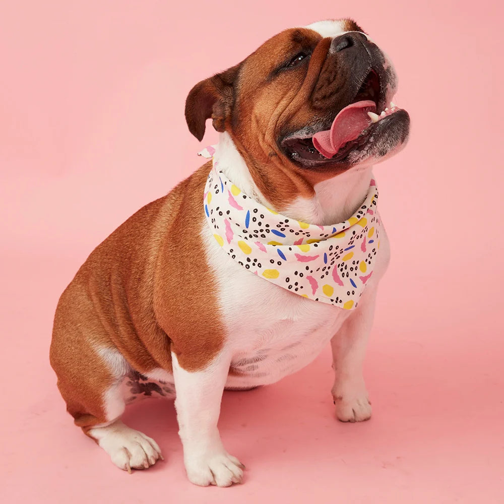Pooch & Hound Bandana