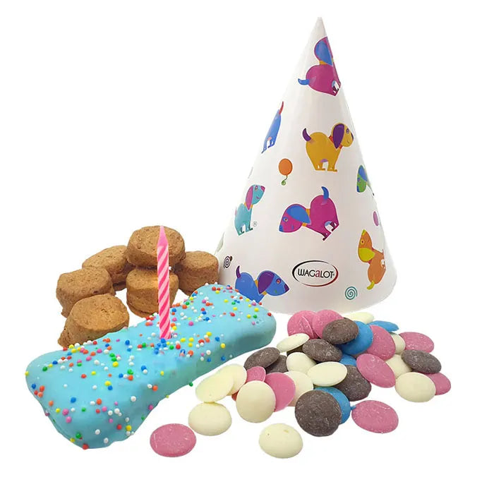 Wagalot Birthday in a Box for Dogs