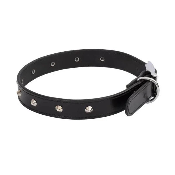 Beau Pets Leather Studded Collar