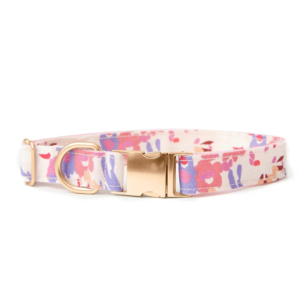 Pooch & Hound Collar
