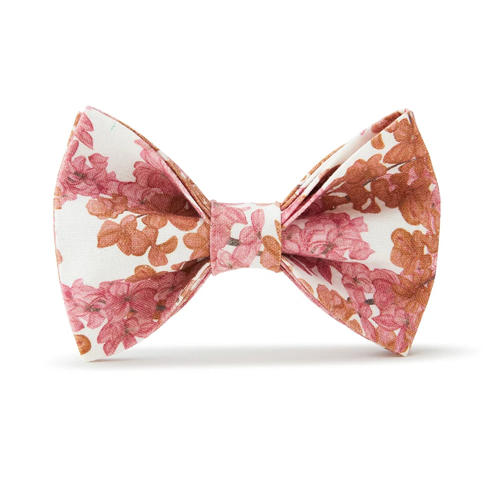Pooch & Hound Bow Tie Pink Floral Small