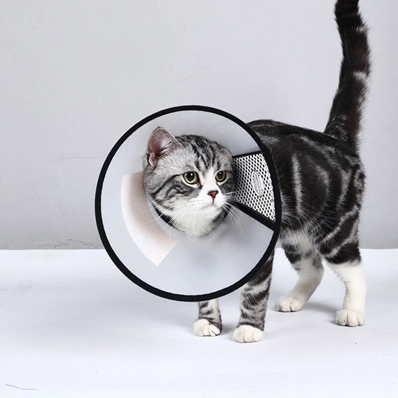 Pet Protection Cone Collar for Cats or Dogs